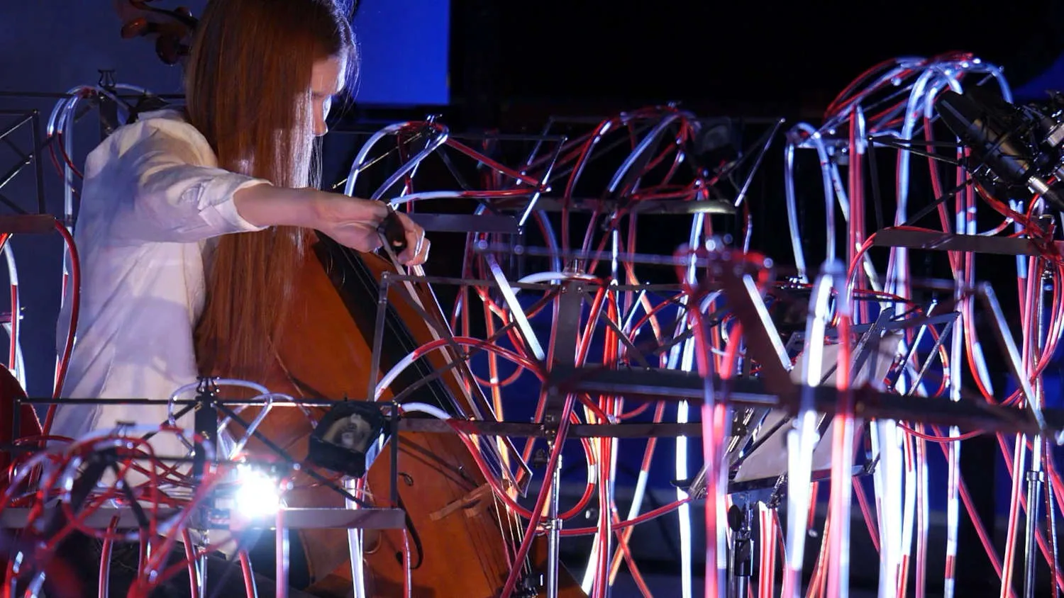 ILKA SEIFERT Transient Impulsfestival